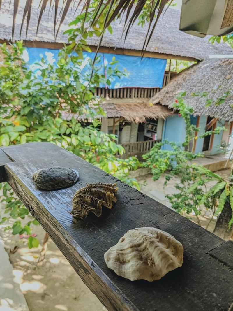 Jing's Place Homestay siargao image
