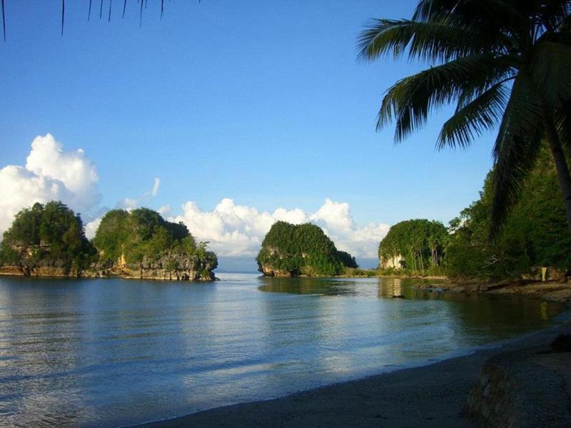 Caluwayan Palm Island Resort image