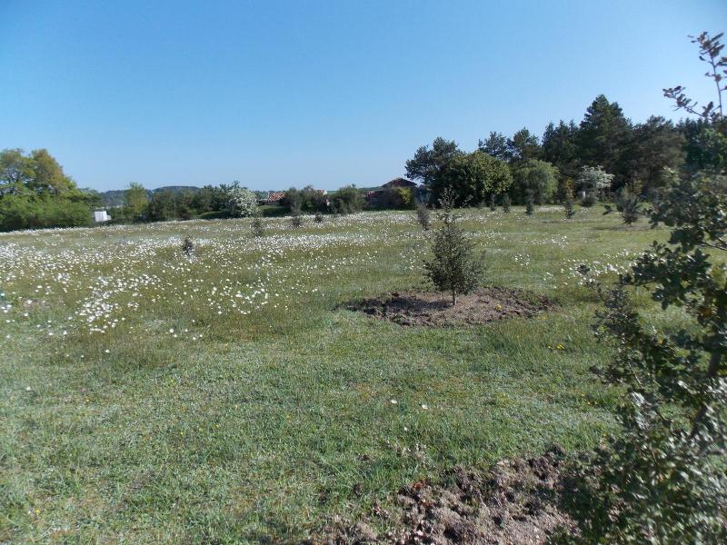 Le Petit Breuil image