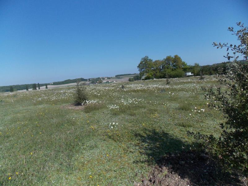 Le Petit Breuil image