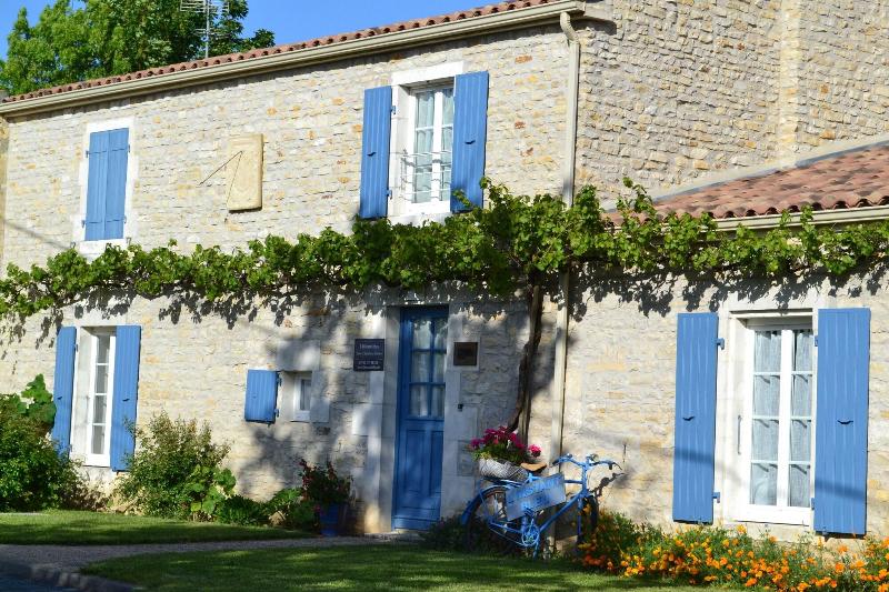 L'instant Bleu image