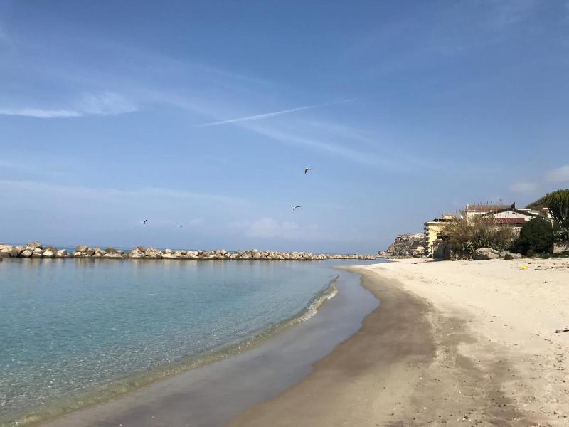 La Piccola Pizzo image