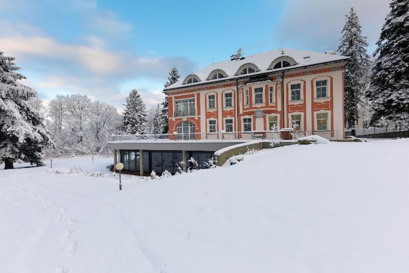 Wellness & Spa hotel Villa Regenhart image