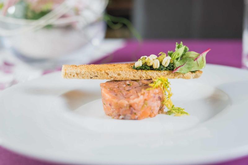 Wellness & Spa hotel Villa Regenhart image