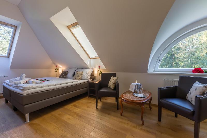Wellness & Spa hotel Villa Regenhart image