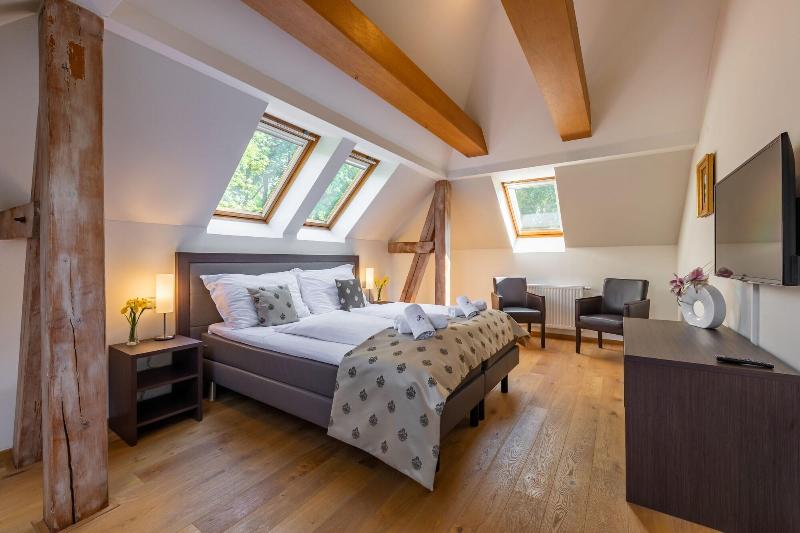 Wellness & Spa hotel Villa Regenhart image