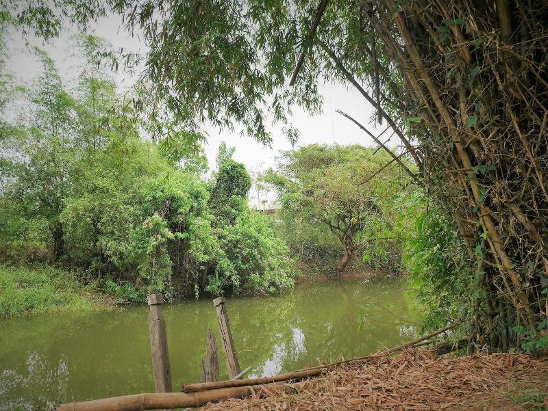 Maison De Sukhothai — photo 2