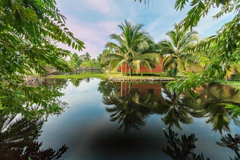 Coconut Resort image