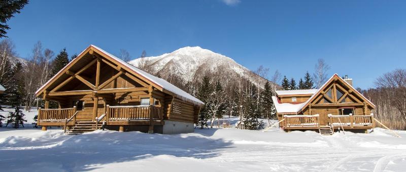 Villa Rusutsu image