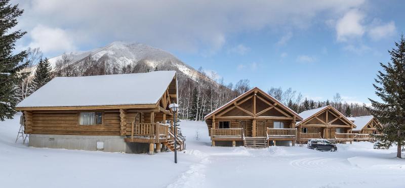 Villa Rusutsu image