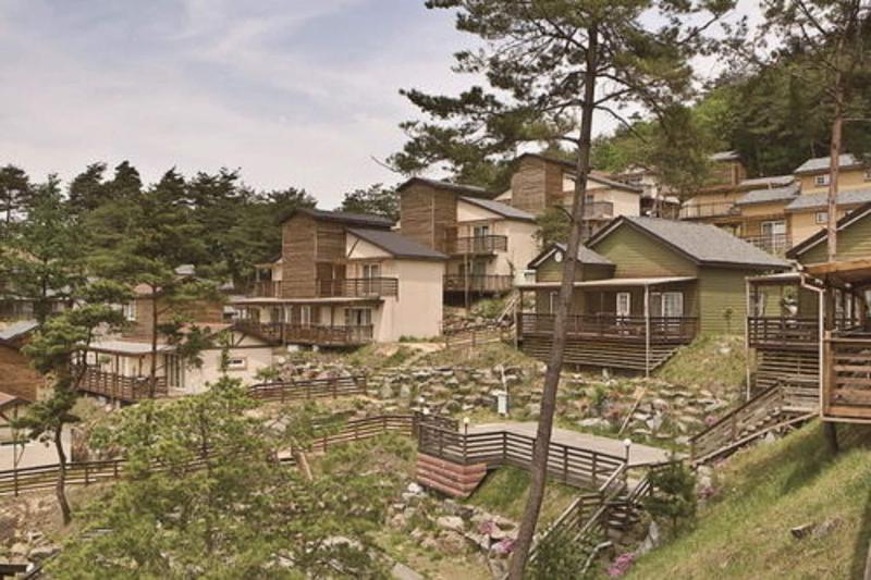 Hyundai Soo Resort Hoengseong image