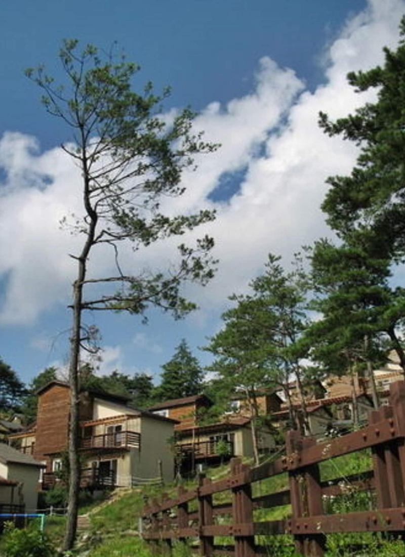 Hyundai Soo Resort Hoengseong image