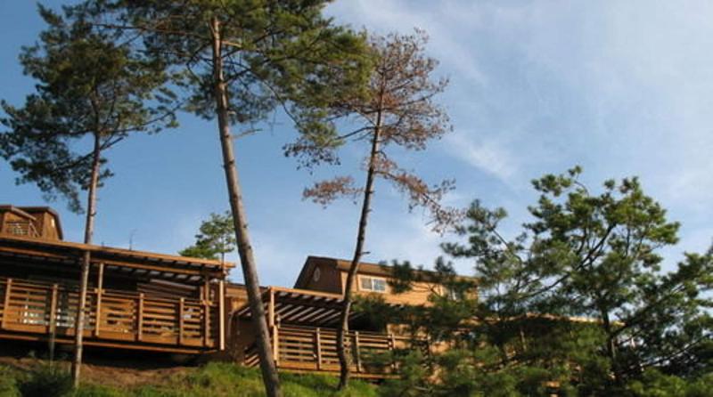 Hyundai Soo Resort Hoengseong image