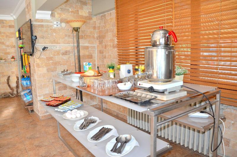 Elit Hotel Saray image