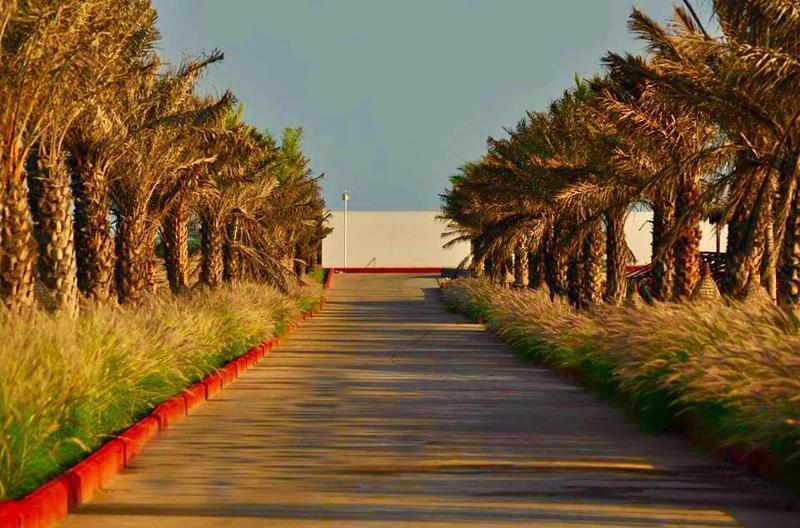 Serena Beach Resort image