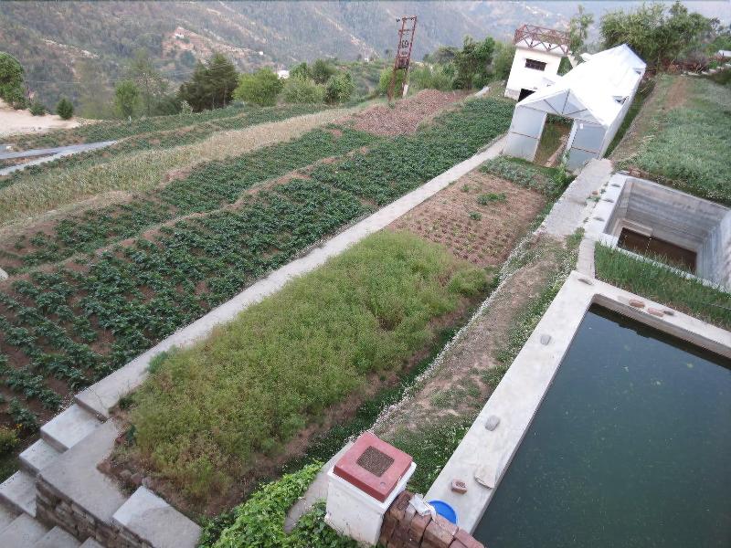 Trishul Orchard Resort