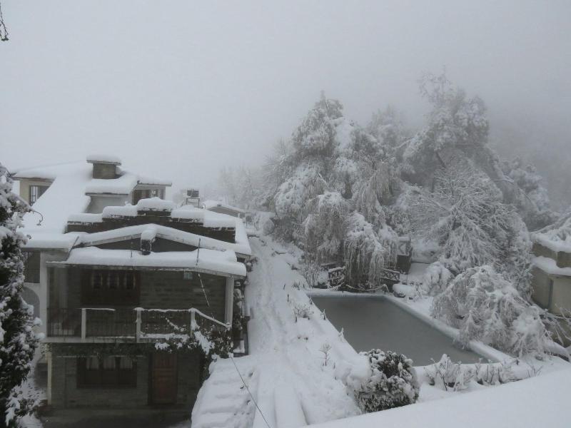 Trishul Orchard Resort