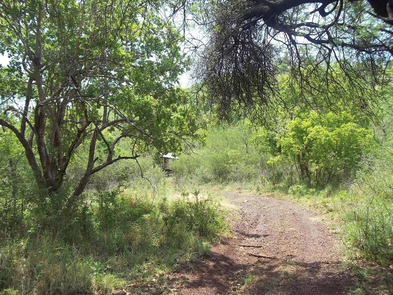 Thabankwe Bushveld Inn