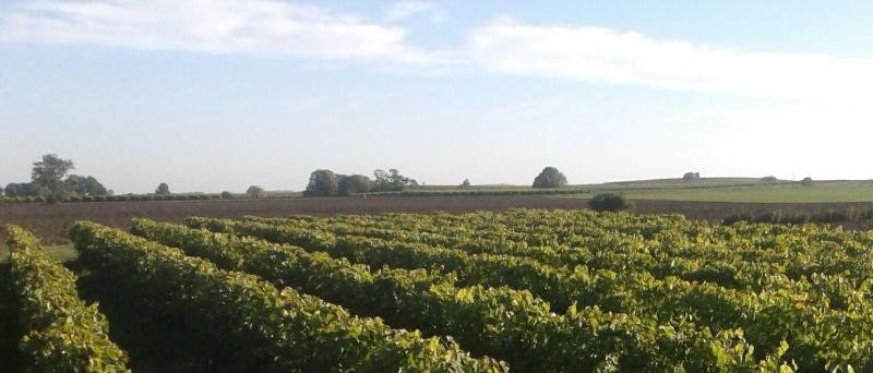 Domaine d' Arcalis image