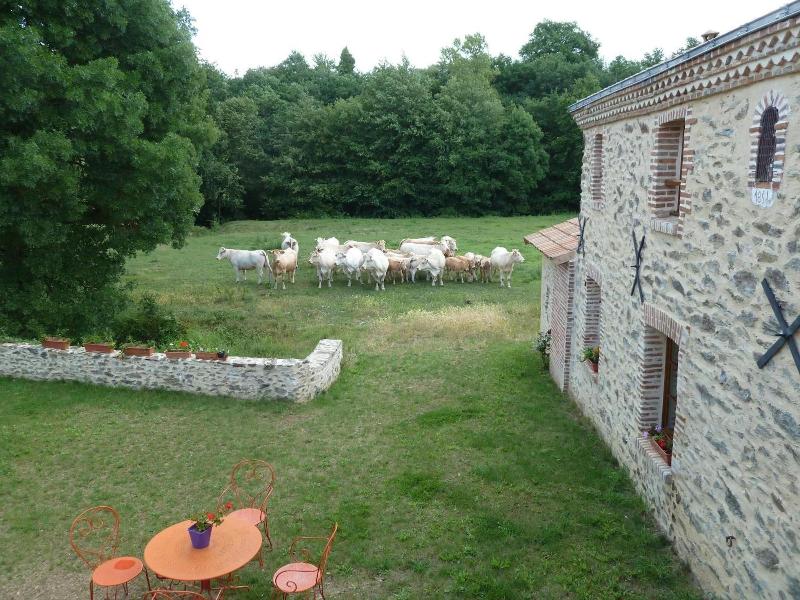 Moulin De Drapras image