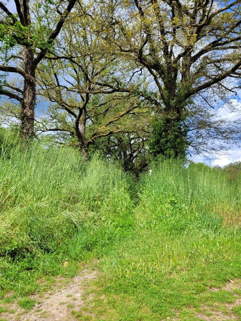 Moulin De Drapras image