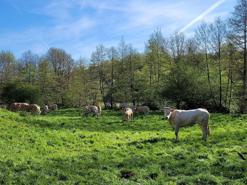Moulin De Drapras image