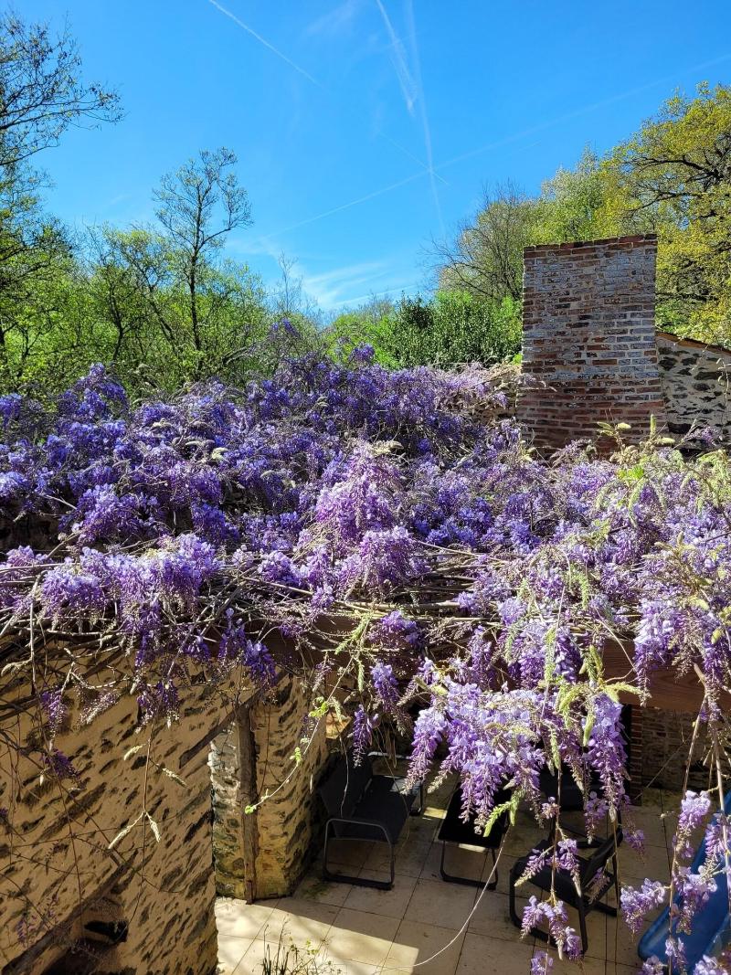 Moulin De Drapras image