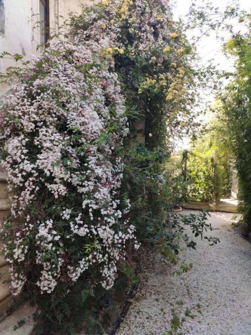 Maison Dhôtes Coeur D'hérault image