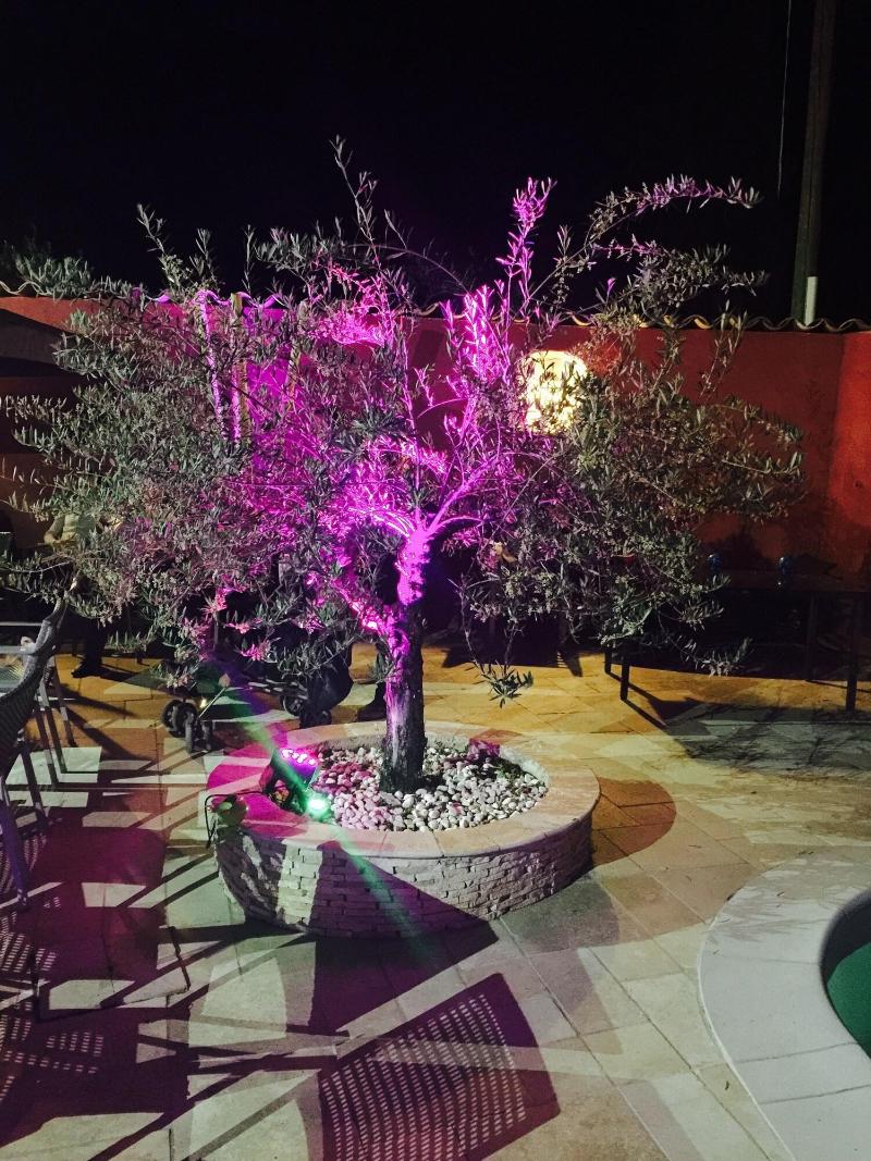 Auberge Les Galets Hotel Restaurant image
