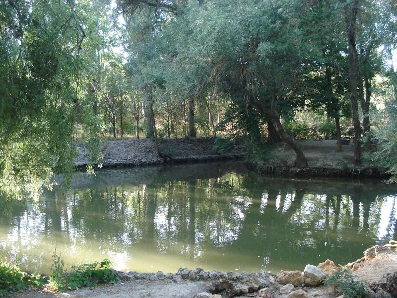 El Rincon Del Labrador image