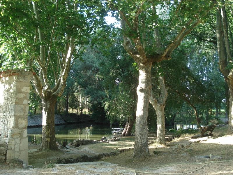 El Rincon Del Labrador image