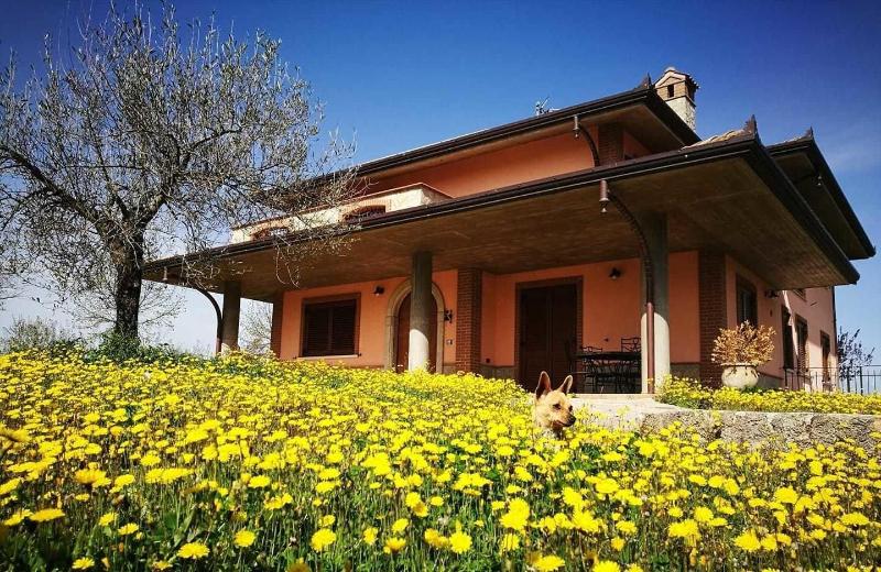 Villa Ulivi image