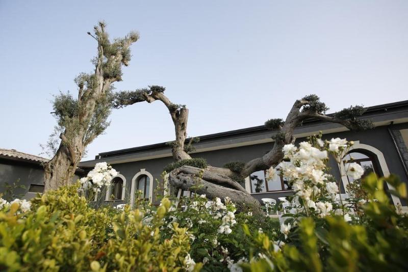 Guest House Terra Di Venera image