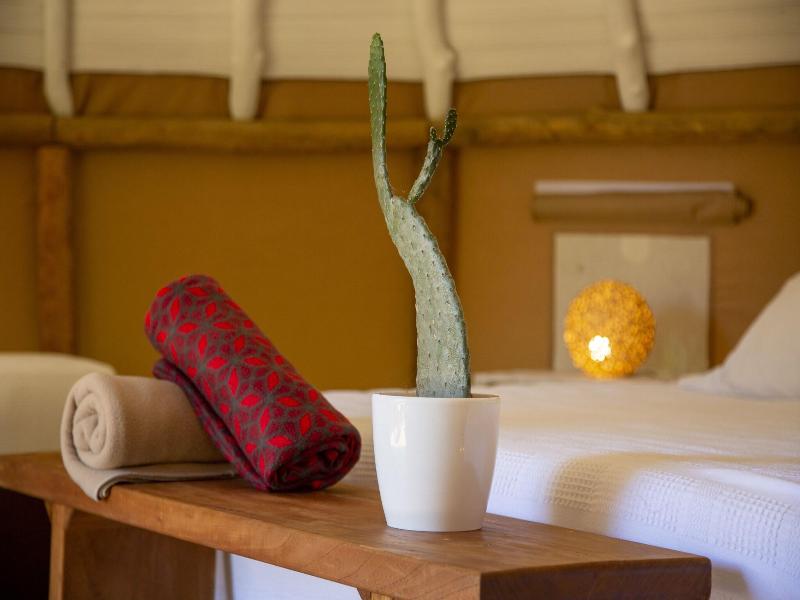 Nativo Glamping image