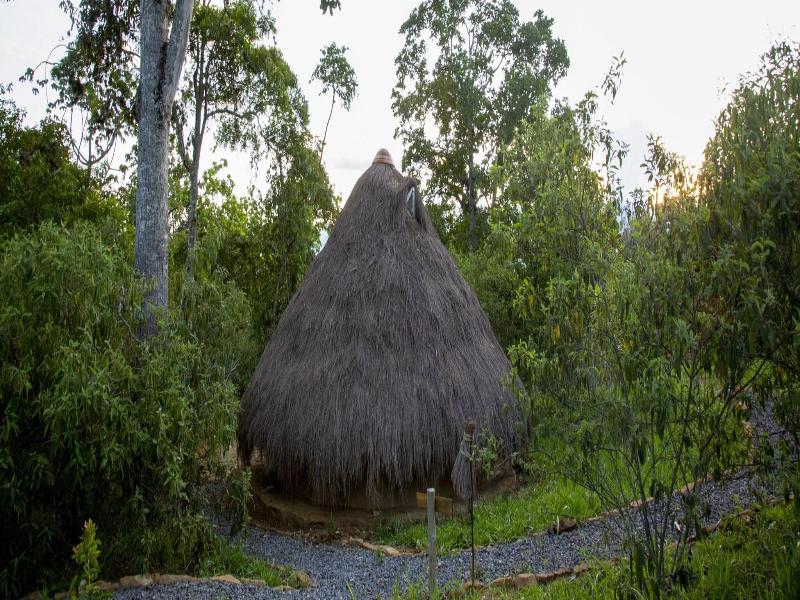 Nativo Glamping image