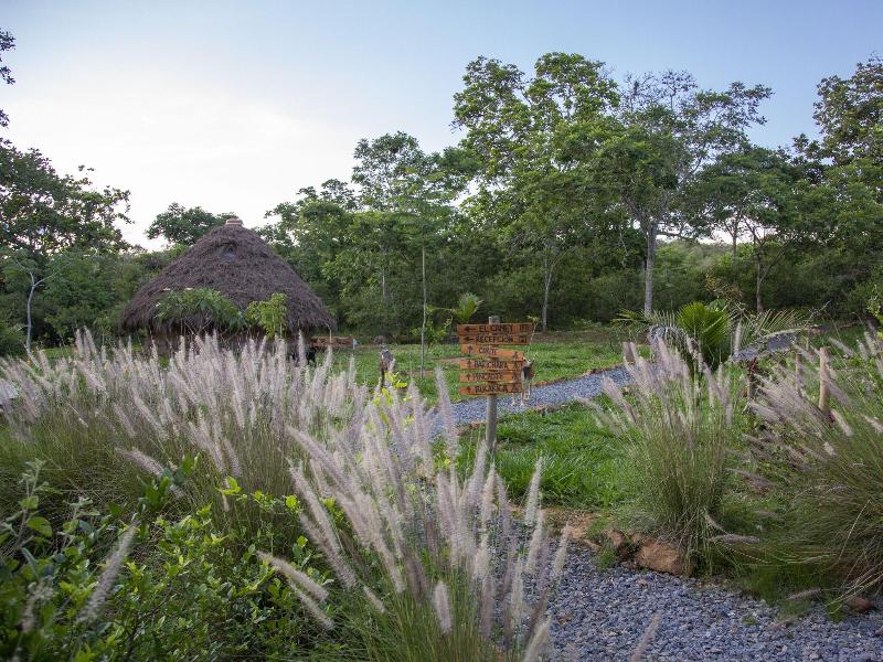 Nativo Glamping image