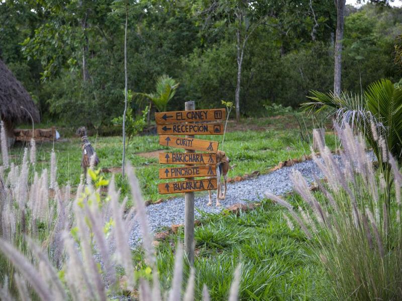 Nativo Glamping image