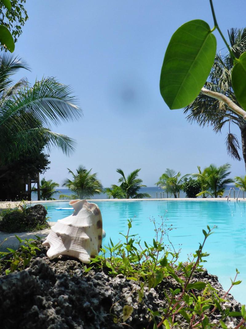 Kalachuchi Beach Resort image