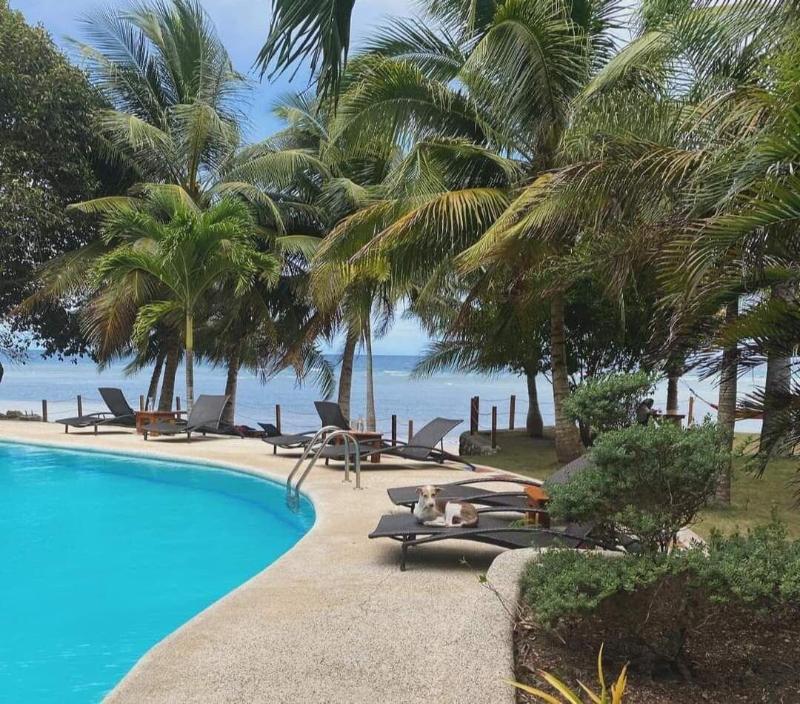 Kalachuchi Beach Resort image