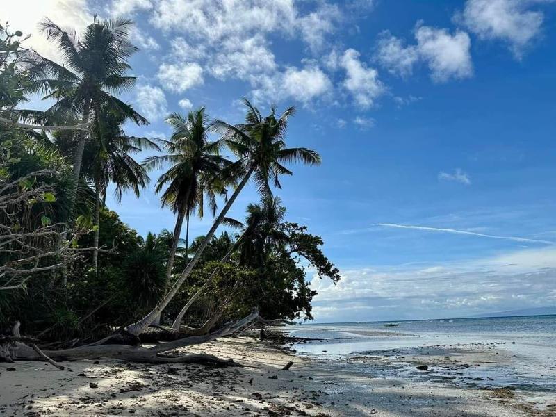 Kalachuchi Beach Resort image