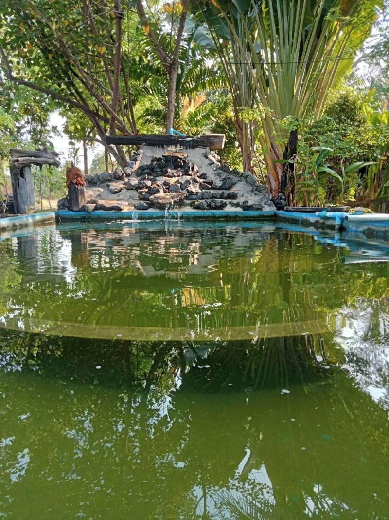 Home Style Resort image