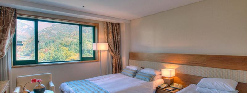 Cheongpung Resort Lake Hotel image