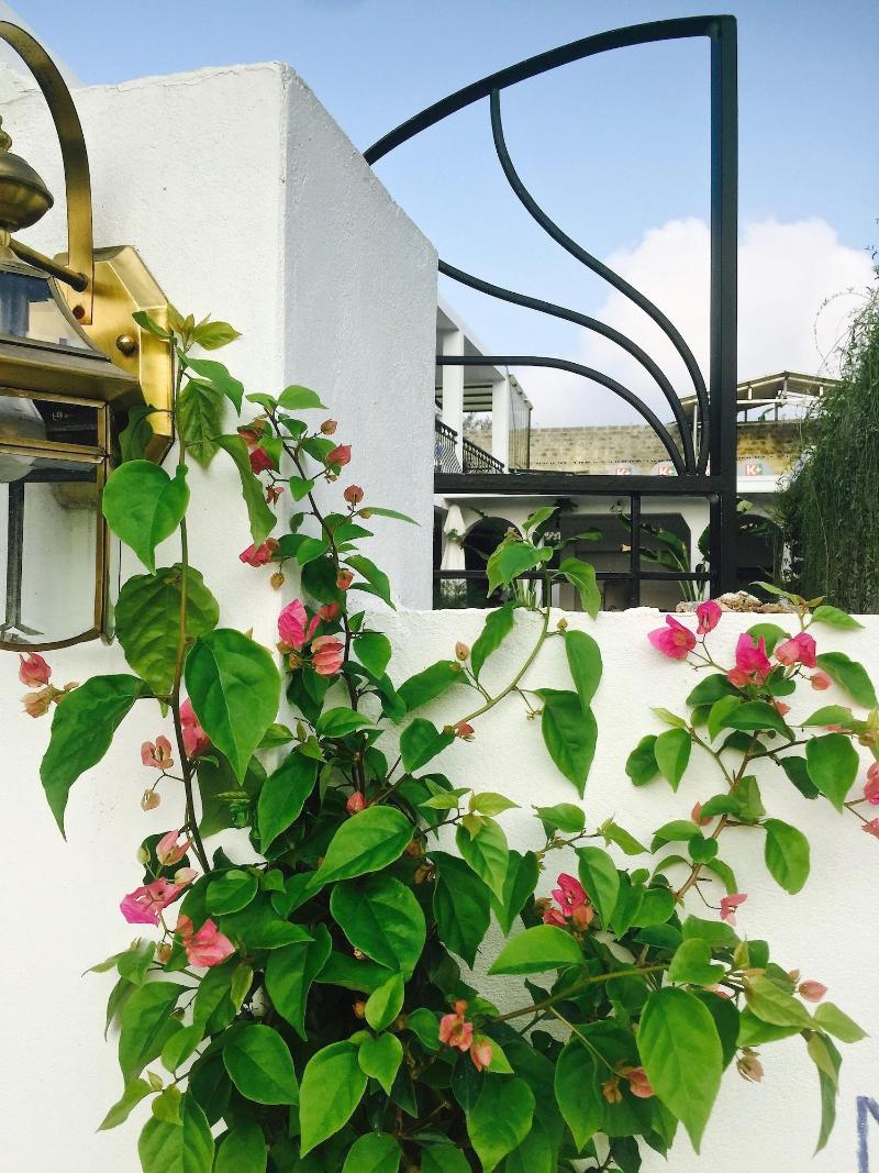 Coto Eco Lodge image