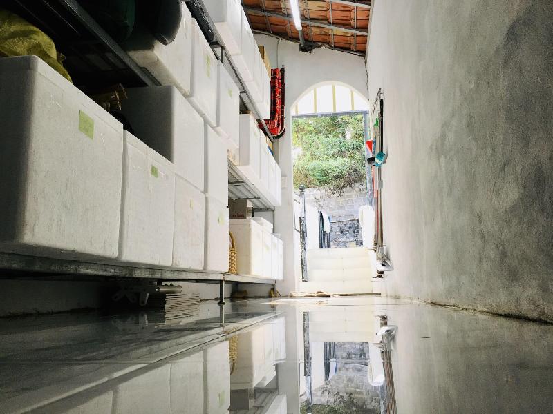 Coto Eco Lodge image