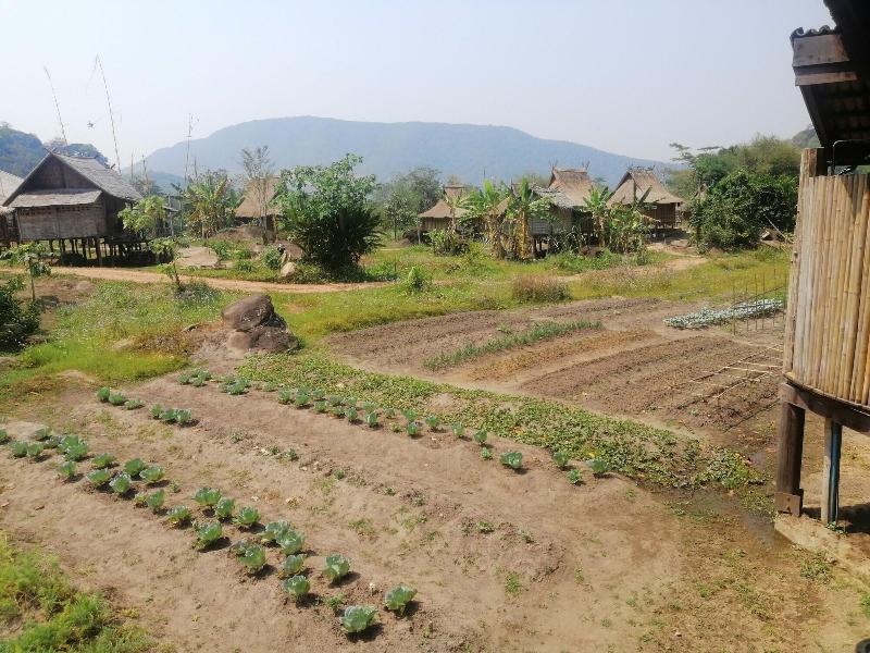 Namkat Yorla Pa Resort image