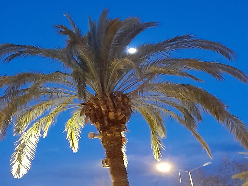 Luna Piena Hotel image