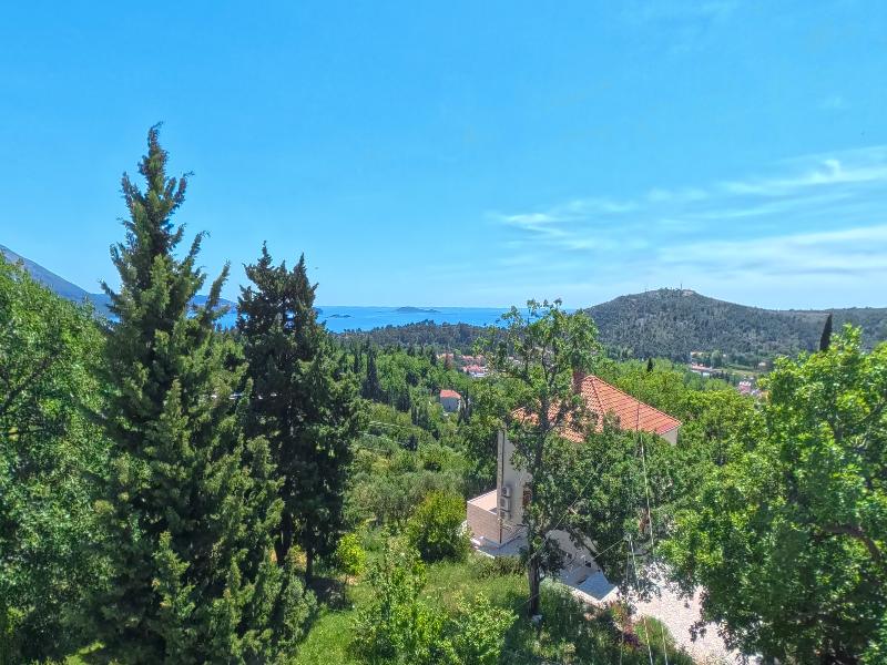 Villa Mambo image