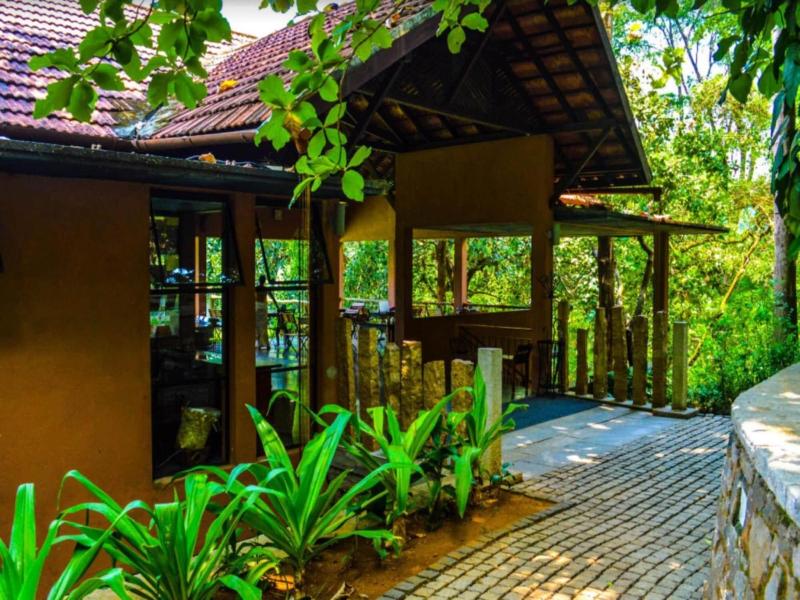 Rainforest Boutique Resort image
