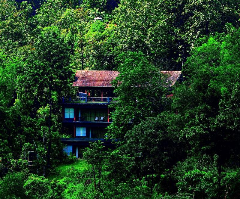 Rainforest Boutique Resort image