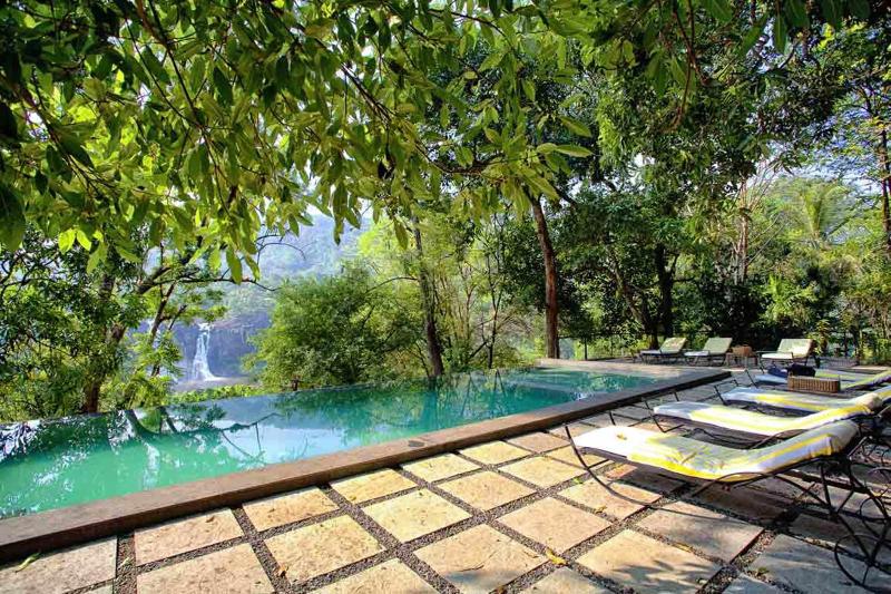 Rainforest Boutique Resort image